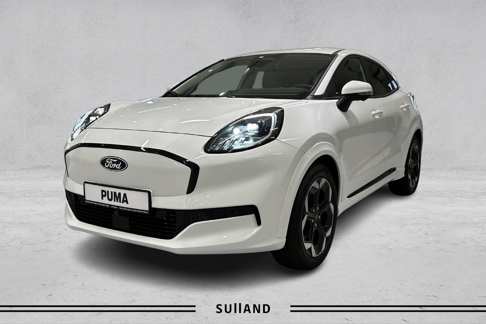 Brukt Ford Puma 
