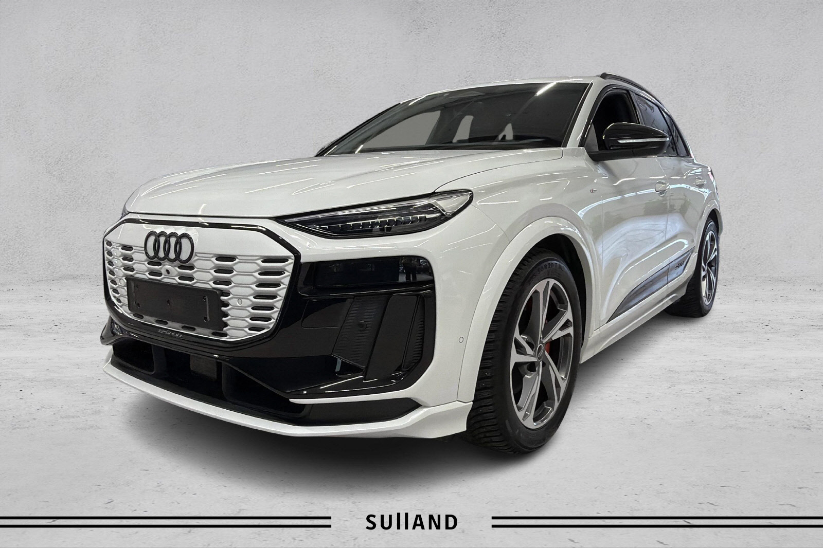 Brugt Audi E-Tron 
